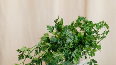 فوائد البقدونس ..تعرف على المنافع والأضرار