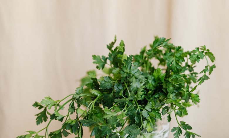 فوائد البقدونس ..تعرف على المنافع والأضرار