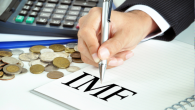 روشتة صندوق النقد الدولي لمصر