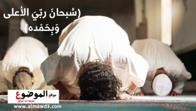 كيفية صلاة الفجر والسنة