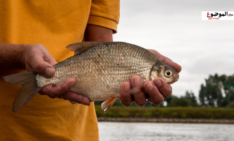 دعاء الخير والرزق
