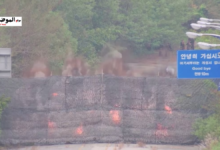 كوريا الشمالية