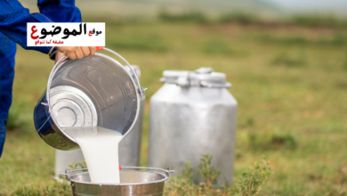 دعاء جلب الرزق