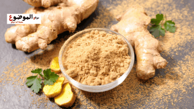 فوائد ماء الزنجبيل