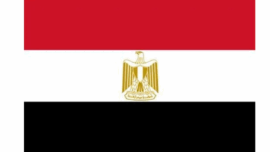 أشكال علم مصر عبر التاريخ