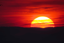 تفسير الاحلام