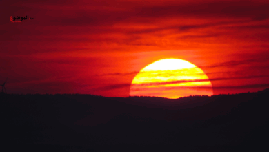 تفسير الاحلام