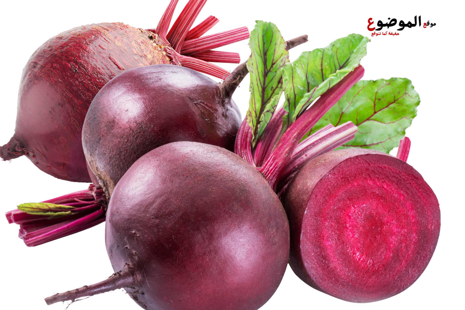 الشمندر الأحمر (البنجر)