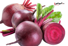 الشمندر الأحمر (البنجر)